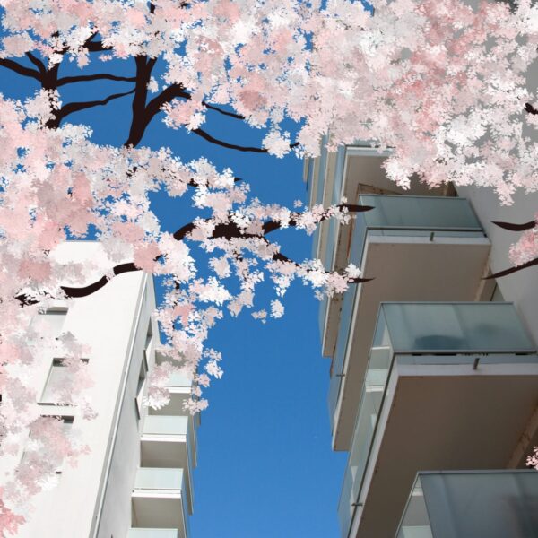 Sujet été 2022. Mon quartier vert, rêve ou réalité ? _Cette Photographie représente des immeubles sur la commune d'Empalot sur lesquels on a ajouté des fleurs roses.