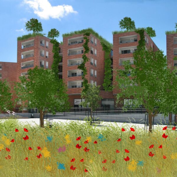 Sujet été 2022. Mon quartier vert, rêve ou réalité ? _Cette Photographie représente des immeubles sur la commune d'Empalot sur lesquels on a ajouté de la végétation et un champ au premier plan.