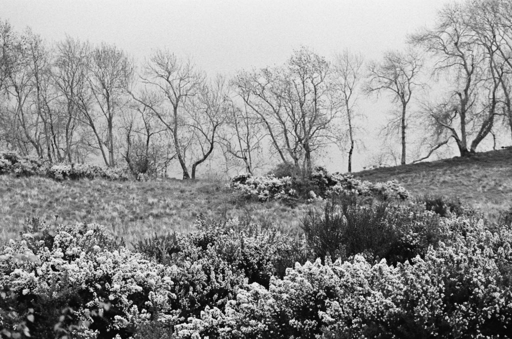 Parcs en Écosse