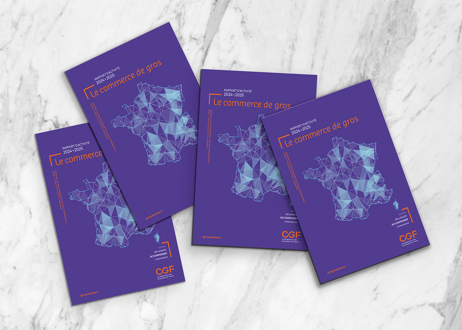 Mock-uo_du rapport d'activité_ Commerce de grosCGT_2025